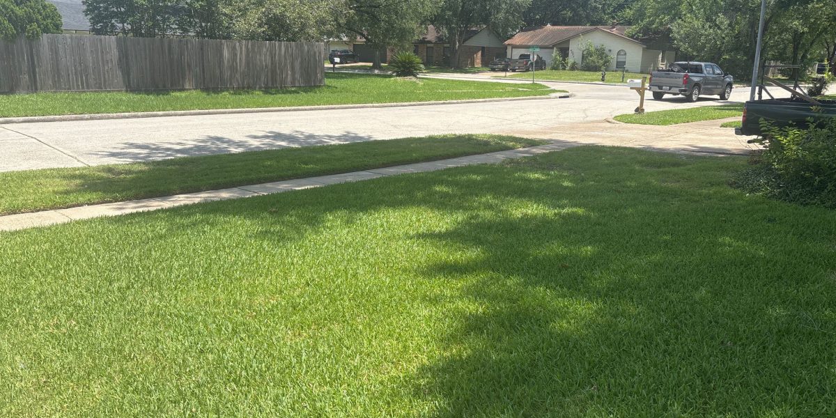 lawn care services