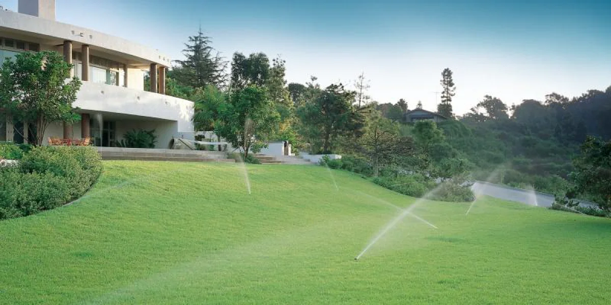 lawn watering tips