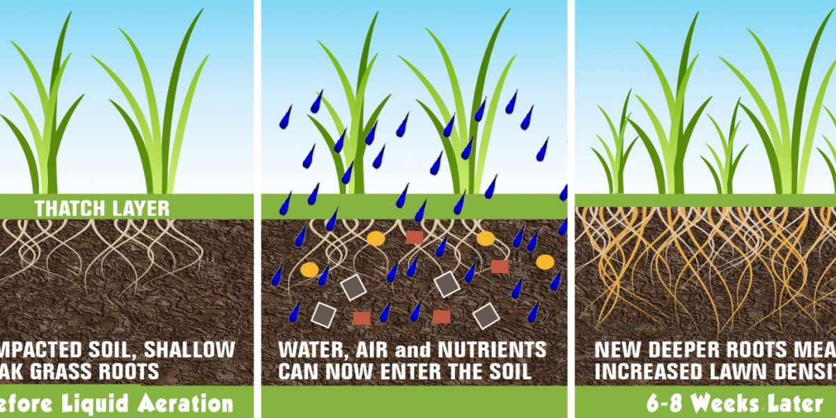 liquid aeration diagram