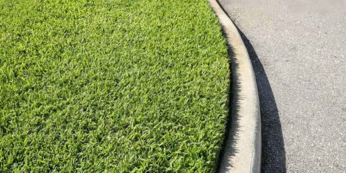 Beautiful St. Augustine lawns by GreenGate Turf & Pest at Taxes