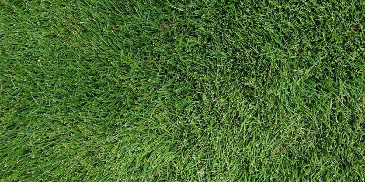 An aerial view of zoysia grass installed by GreenGate Turf & Pest in Houston, TX